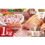 肉 ハム 切り落とし 5種セット 合計1kg