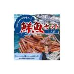 旬の鮮魚等 鮮魚 冷蔵 クール便 開けたらすぐ食べられる