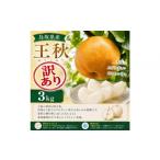 梨 2026年11月~12月頃の発送 山根農園