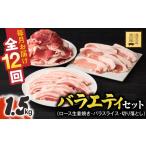 豚肉 ロース 全12回定期便 産黒豚 バラエティセット