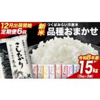 米 コシヒカリ 令和8年産 新米 6回 定期便