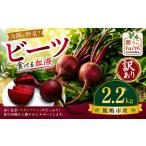 人参 大根 他根菜 ビーツ 約2.2kg
