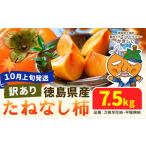 訳あり たねなし柿 7.5kg