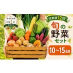 セット 詰合せ 野菜 定期便 12ヶ月 12回
