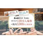 入場券 優待券 サウナ入場券1名様 120分+焼肉3