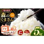米 定期便 6回 R8年産 白米 森のくまさん 5kg