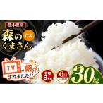 米 定期便 6回 R8年産 白米 森のくまさん 30kg