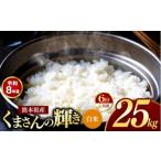 米 定期便 6回 R8年産 白米 くまさんの輝き 25kg