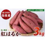 野菜類 サツマイモ 2026年11月上旬以降~