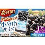 魚貝類 しじみ 全6回定期便 生産量日本一