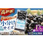 魚貝類 しじみ 全12回定期便 生産量日本一