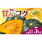 人参 大根 他根菜 農家直送 大玉かぼちゃ 5kg