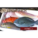 旬の鮮魚等 冷蔵 鮮魚 詰め合わせ お手頃セット お手頃セット