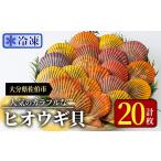 魚貝類 冷凍 ヒオウギ貝 計20枚