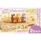焼菓子 チョコレート マドレーヌ 3個入