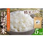 新米 けはや米 精米 5kg