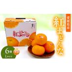 みかん 柑橘類 紅まどんな 秀品 Lサイズ 6個