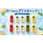カバ印のアイスキャンデー10本セット