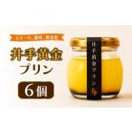 菓子 プリン 6個セット 井手黄金 ぷりん 手作り