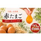 卵 鶏 烏骨鶏等 10個