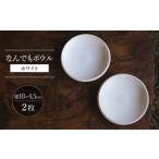 食器 グラス セット 波佐見焼 なんでもボウル