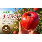りんご 2026年 サンふじ 約5kg