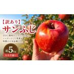 りんご 2026年 訳あり サンふじ 約5kg