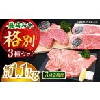 牛肉 ステーキ 全3回定期便 希少部位 食べ比べ