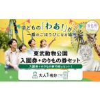 入場券 優待券 東武動物公園 入園券+のりもの券10枚綴り