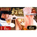 豚肉 しゃぶしゃぶ 毎月定期便 信州 飯田 ブランド豚