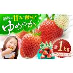 いちご ゆめのか 訳あり 計1kg
