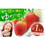 ゆめのか いちご 計1kg