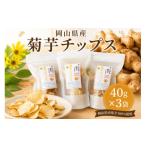健康食品 菊芋チップス 40g×3袋