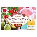 果物類 さくらんぼ 2027年 4回定期便