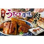 うなぎ 偶数月定期6回 特選 蒲焼うなぎ 短冊