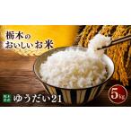 米 コシヒカリ 令和7年度産 約5kg