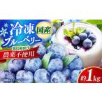 果物の詰合せ 栽培期間中 農薬不使用 ブルーベリー 1kg