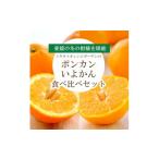 みかん 柑橘類 先行受付 愛媛の新春柑橘を食べ比べ