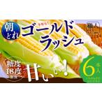 とうもろこし ゴールドラッシュ 6本入り