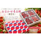 いちご おまかせ4品種 苺 ichigo 女峰