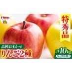 りんご 2回定期便 2026年産 リンゴ 5kg