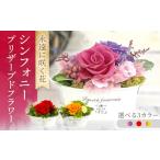 花 オレンジ×グリーン シンフォニー プリザーブドフラワー