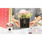 花 苗木 ホワイト×ピンク ブリテン プリザーブドフラワー