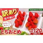 いちご 訳あり 粒不揃い とちおとめ 1 120g