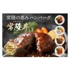 肉 ハンバーグ 3営業日以内発送 常陸の恵みハンバーグ