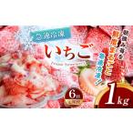 いちご 定期便6回 冷凍 とちあいか 1kg