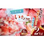 いちご 定期便6回 冷凍 とちあいか 2kg