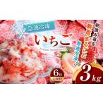 いちご 定期便6回 冷凍 とちあいか 3kg