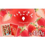 焼菓子 チョコレート クッキー いちごさん 450g×1パック