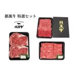 牛肉 焼肉 バーベキュー 都萬牛 黒毛和牛特選セット